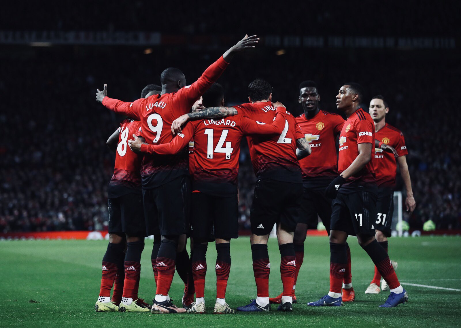 球迷以及媒 球迷以及媒